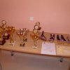 Sportovec roku 2014